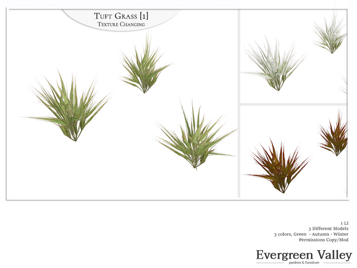 Tuft Grass [1] Texture Changing