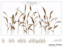 Tuft Grass [2] Autumn