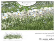 Border Flowers [5]