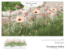 Border Flowers [6]