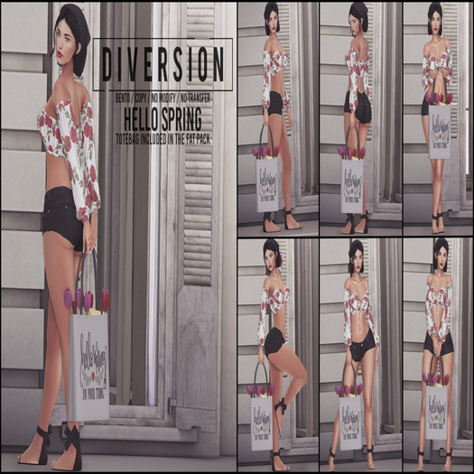 Diversion - Hello Spring Poses // Bento