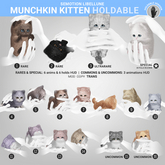SEmotion Libellune Munchkin Kitten Holdable ULTRARARE 03