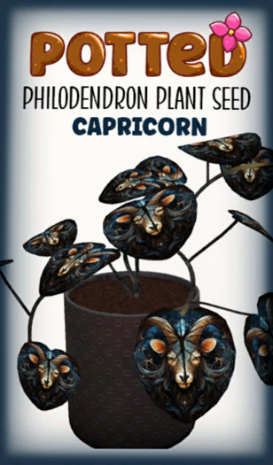Potted: Philodendron Seed: Capricorn