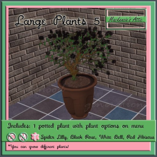 [M.A.] Misc Large  Potted Plants 5 (Boxed-Transfer)