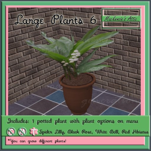 [M.A.] Misc Large  Potted Plants 6 (Boxed-Transfer)