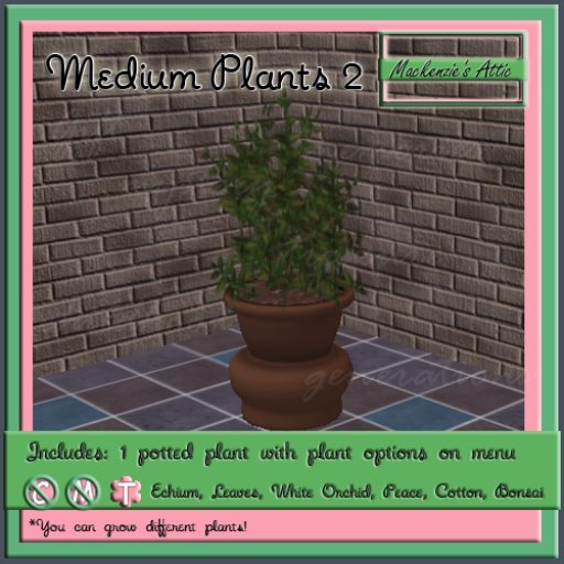 [M.A.] Misc. Medium Potted Plants 2 (Boxed-Transfer)