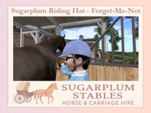 *Sugarplum Stables* Velvet Riding Hat - Forget-Me-Not