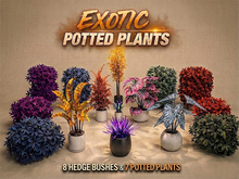 Beautiful Exotic Plants
