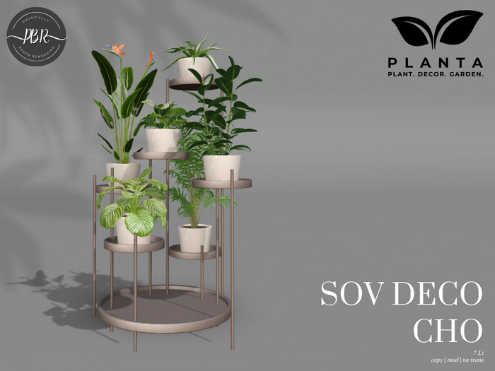 Planta - Sov Deco Cho