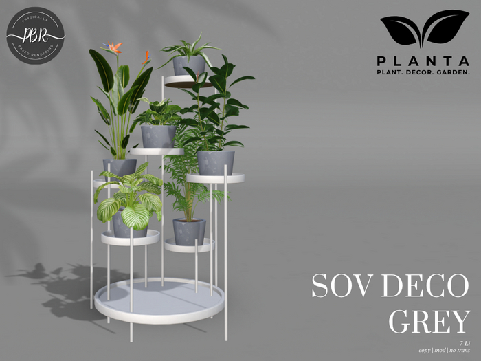 Planta - Sov Deco Grey