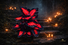 Dark Glowing Plant – Stylized Red Bioluminescent Leaves