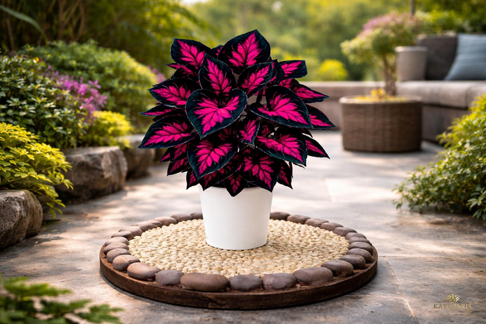 Stylized Neon Plant – Decorative Potted Fantasy Foliage