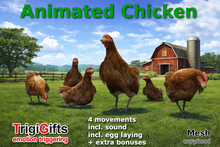 Chicken