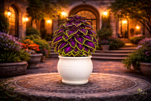 Stylized Coleus Plant – Decorative Purple Green Foliage