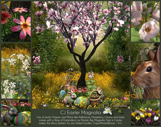 CJ Easter Magnolia