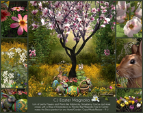 CJ Easter Magnolia