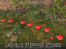 Magnetic - Ladybug Stepping Stones