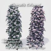 T-Spot Mesh - Clematis Column - FP - LI=1.4