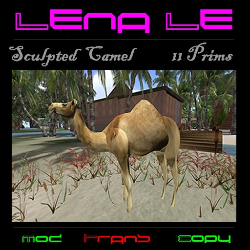 Sculpted Camel