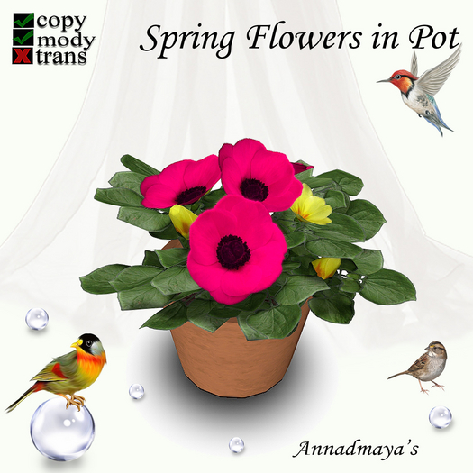 Spring Flowers in Pot - 1