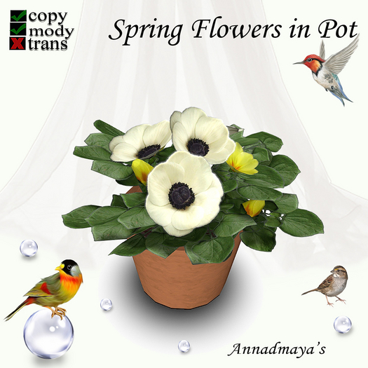 Spring Flowers in Pot - 4