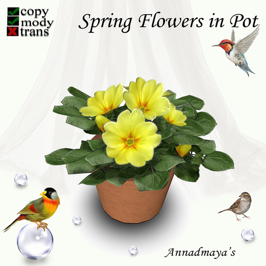 Spring Flowers in Pot - 5