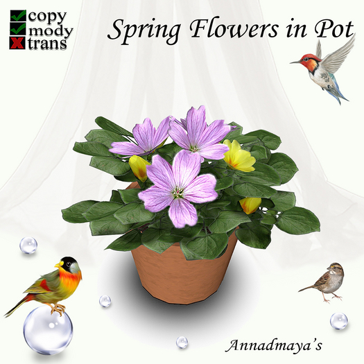 Spring Flowers in Pot - 6