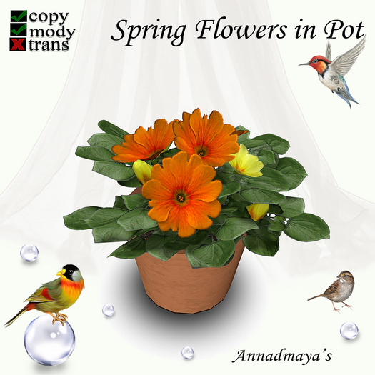 Spring Flowers in Pot - 7