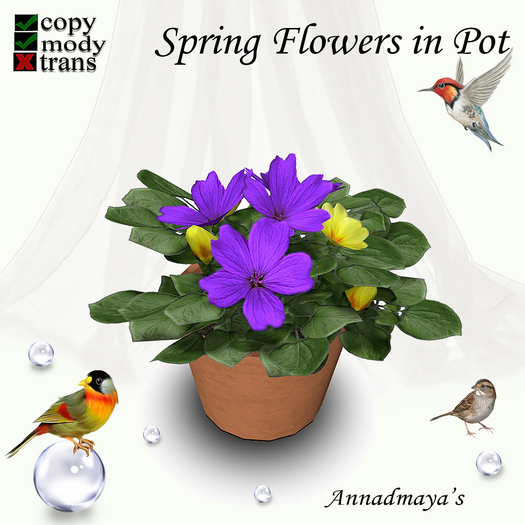 Spring Flowers in Pot - 8