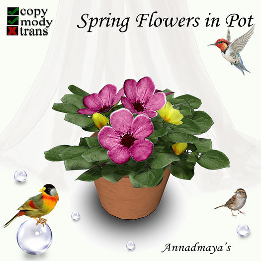 Spring Flowers in Pot - 10