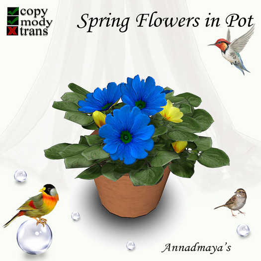 Spring Flowers in Pot - 11
