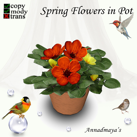 Spring Flowers in Pot - 12