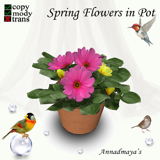 Spring Flowers in Pot - 14