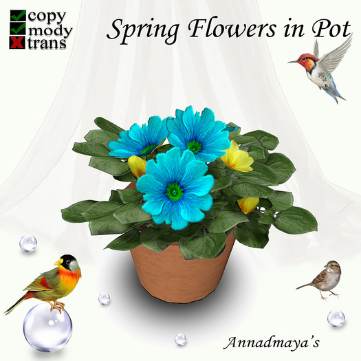 Spring Flowers in Pot - 15