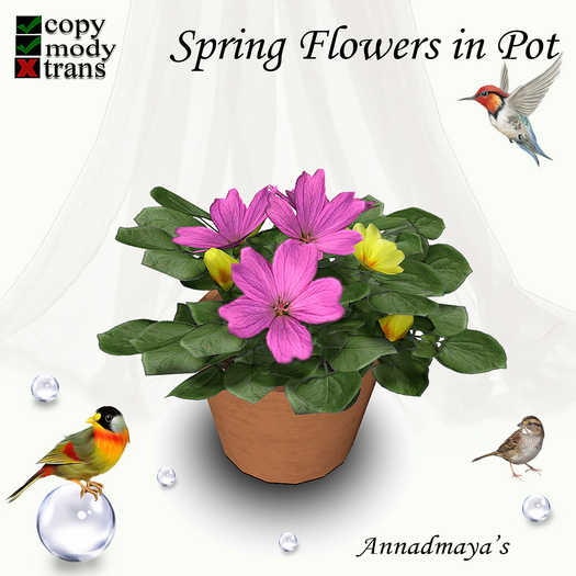 Spring Flowers in Pot - 16