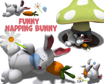 - Full Perm - Funny Napping Bunny