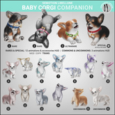 SEmotion Libellune Baby Corgi Companion COMMON 10