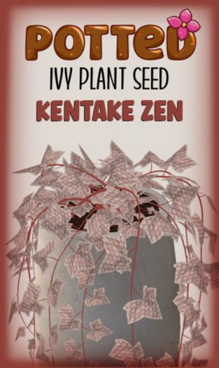 Potted: Ivy Seed: Kentake Zen