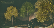 Oak Trees by Little branch