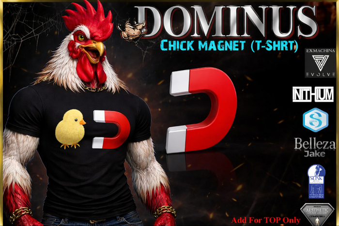 ~DOMINUS~Chick magnet (T-Shirt)   (ADD)