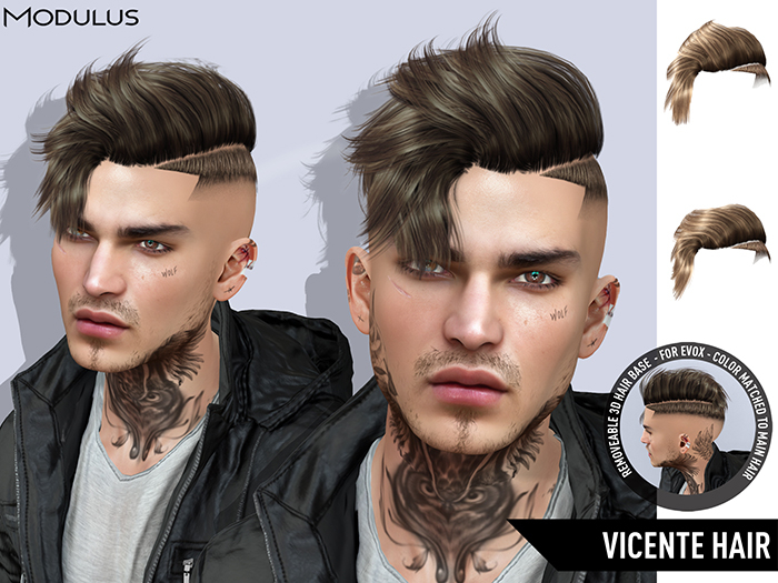 Modulus - Vicente Hair - Style HUD +