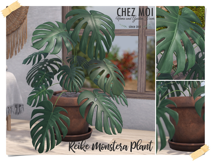 CHEZ MOI Reike Monstera Plant