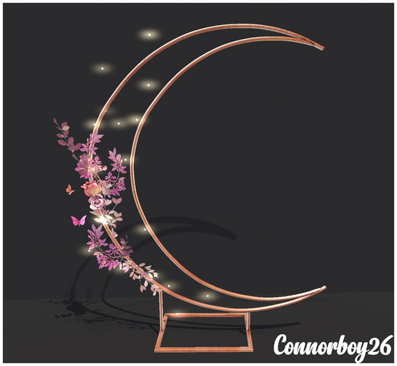 10 ionic : Ceremony arch (Moon) THE HAPPIEST DAY