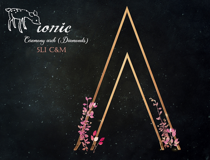 12 ionic : Ceremony arch (Triangles) THE HAPPIEST DAY 