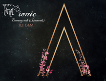 12 ionic : Ceremony arch (Triangles) THE HAPPIEST DAY 