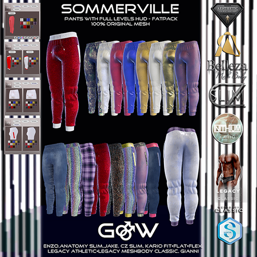 [GW] SOMMERVILLE PANTS FATPACK