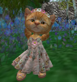 Dinkie Sweetheart Sundress blush