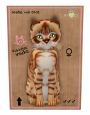 KittyCatS Box - New Born Kitten, Australian Mist - Ginger