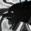 ·MAWZ·