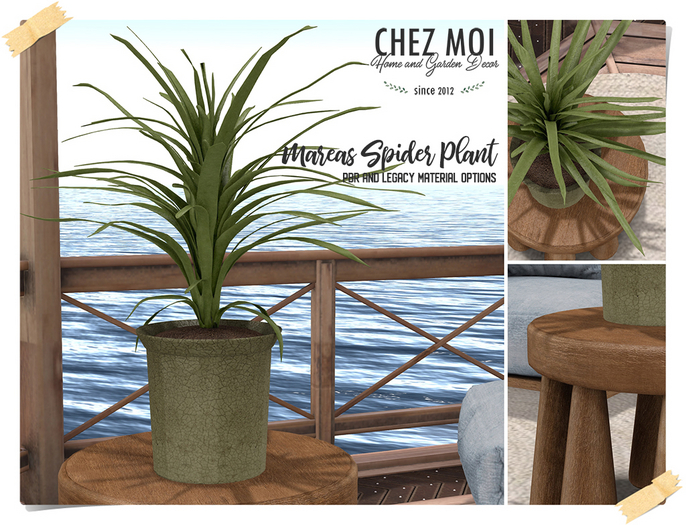 CHEZ MOI Mareas Spider Plant Set